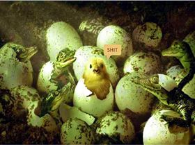 7871 4925129321200 973426365 n