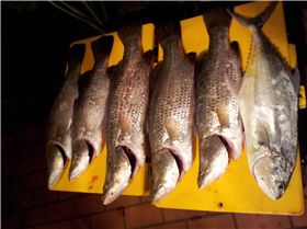 2012-12-29 20.16.42(1)