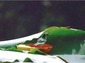 1277 514192741980988 766553622 n