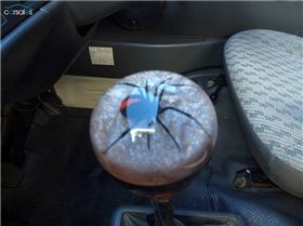 cp5441964552288858118