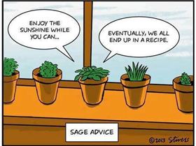 1075643 559025137491012 1601933350 n