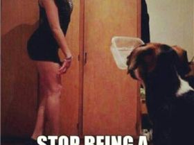 993654 607497745982968 1970199478 n