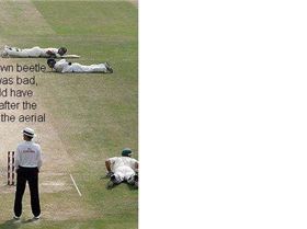 cricket captioned