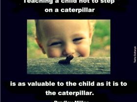 426727 600911926602286 2034008277 n