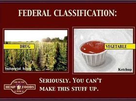 541860 548719481807489 349566380 n