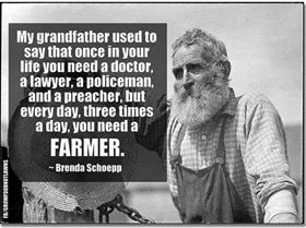 970469 535256459857003 1572554019 n