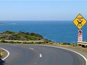 funny-road-sign-cliff