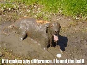 1011424 10152975915420534 395757396 n