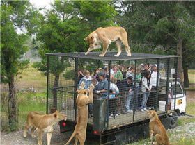 579347 462061517220219 1526046827 n