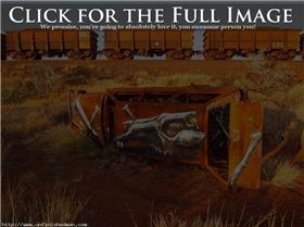 roa-street-art-australia07