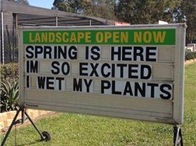 1002208 583958118335797 617384184 n