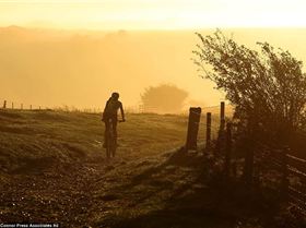 Ground Level Chemtrails