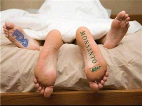 1385331 10151913434231117 302246372 n