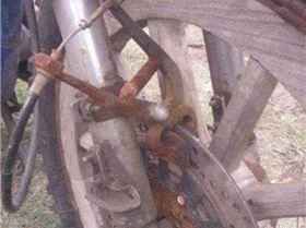 1453516 543373779071019 1814681372 n