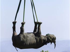 article-2502994-195D0A9F00000578-665 964x845