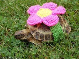 article-2510555-19883E3100000578-609 634x414