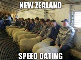 Speed dating