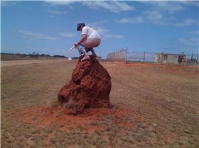 Coral bay - exmouth - Monkey Mia Trip 012