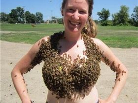 bee-bra