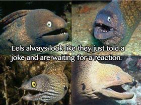 601527 723865277634486 788526066 n