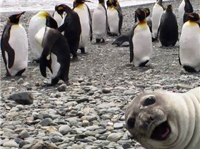 1503859 563999070361214 1881144322 n