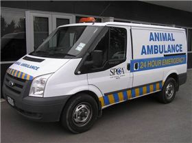 SetWidth800-mini-P1010032