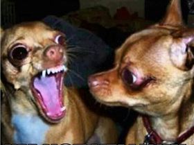 f69d9984ca16ea817aa2ebea1dafae5b