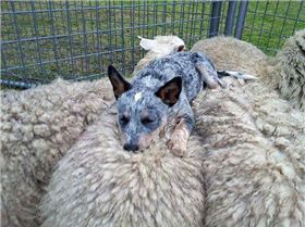 9840 245918485583564 938219080 n