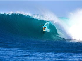 1492348 10151920939227058 895924184 o