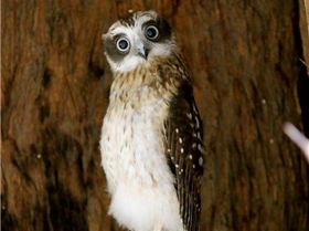 1476454 621267674607606 1471964071 n