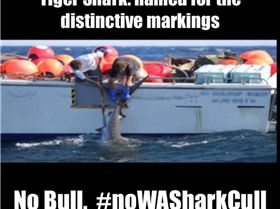 1620741 10202880538473804 1799124993 n