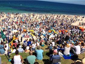 Shark protesters afraid to go in the water