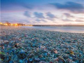 1546178 10152116864471597 1586000373 n