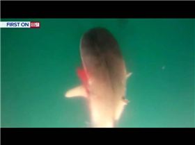 1662127 423885164381001 1499352360 n