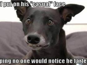 21079d1391432106-lighter-side-part-4-image