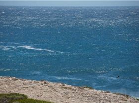 1618694 631661833536290 612465904 n