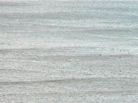 1901165 631931773509296 1162903029 n