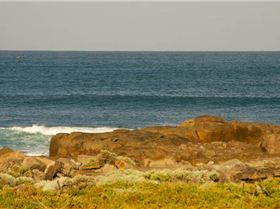 1526697 631931746842632 1469784936 n