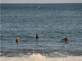 1622841 631931643509309 1271194434 n