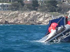 1780248 594892260598057 743879789 o