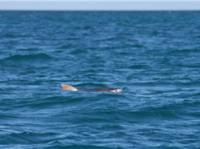 1779201 10203211667792914 2111084291 n