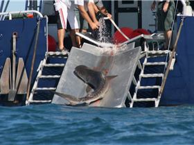 1654501 10203203726114377 1807006408 o