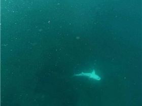 1796497 597437747010175 654653701 n