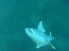 1911689 597437737010176 1578881485 n