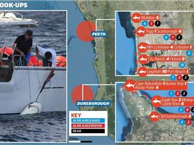 1017422 588815057867805 1395025931 n