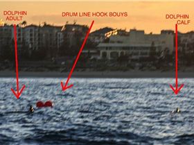 1596748 10202682468278587 488075036 o