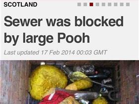 funny-news-site-headline-Winnie-Pooh