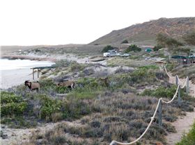 received m mid 1393572887714 1051d4f366f7964d84 5