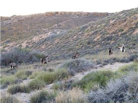 received m mid 1393572887714 1051d4f366f7964d84 1