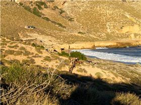 received m mid 1393572887714 1051d4f366f7964d84 4